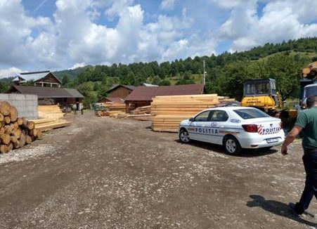 GALERIE FOTO | S-au confiscat lemne în valoare de 586.000 de lei și s-au constatat 22 de infracțiuni