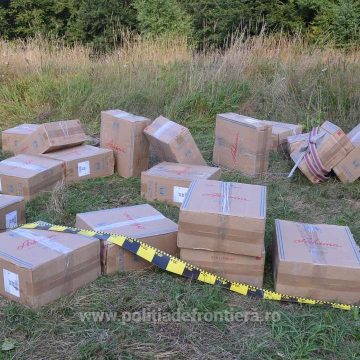Contrabandiștii și-au luat tălpășița, chiar dacă s-au tras focuri de avertisment Contrabandiștii și-au luat tălpășița, chiar dacă s-au tras focuri de avertisment