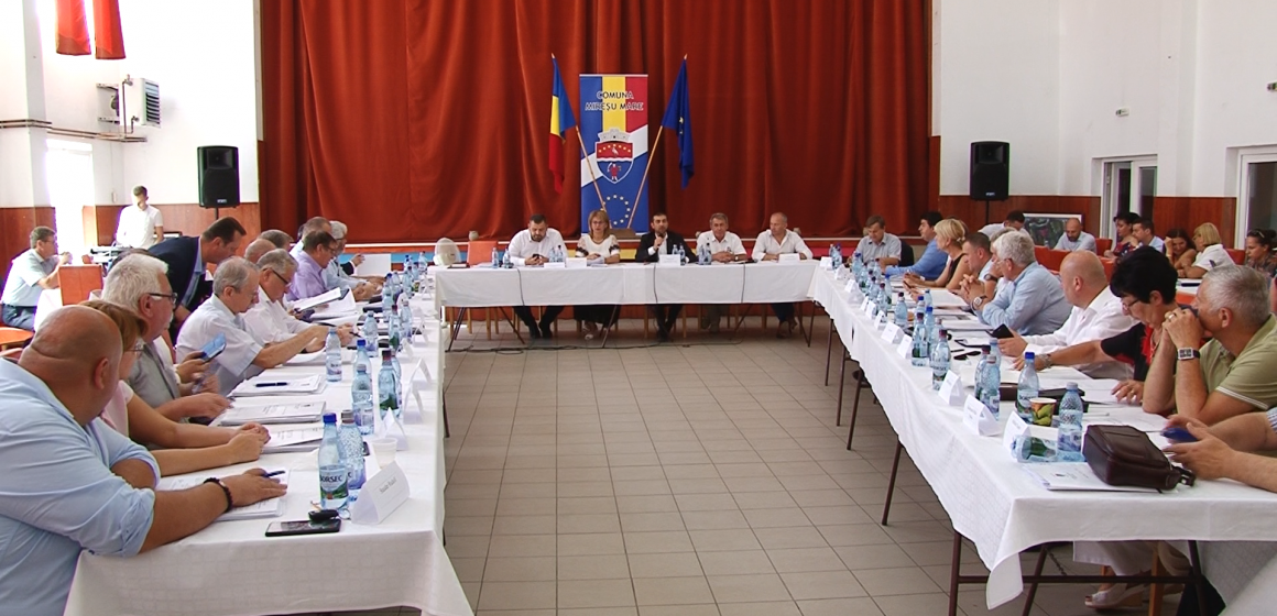 Un alt consilier județean în locul demisionarului Cristian Anghel
