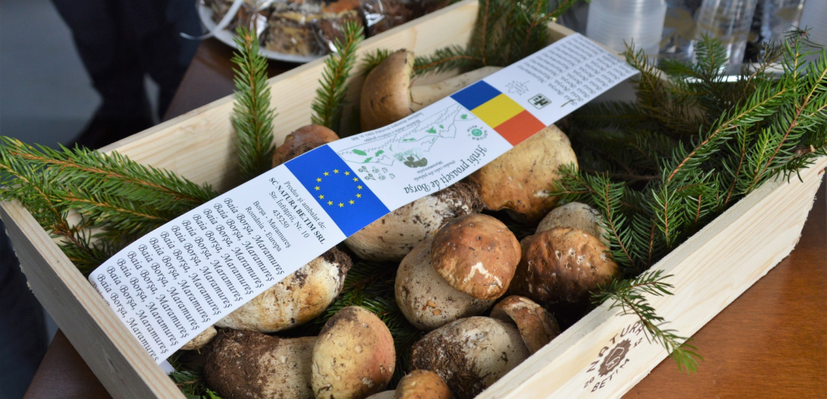 GALERIE FOTO | Festivalul hribilor, în Borșa