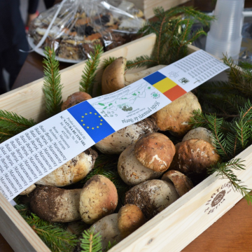 GALERIE FOTO | Festivalul hribilor, în Borșa