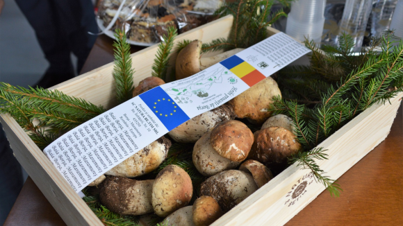 GALERIE FOTO | Festivalul hribilor, în Borșa