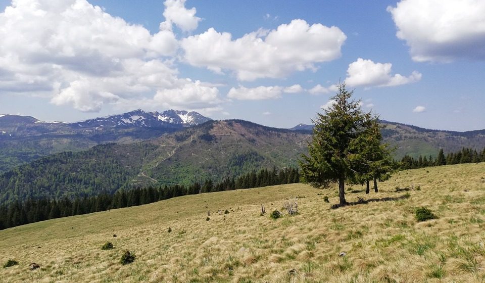 Informare pentru locuitorii comunei Giulești