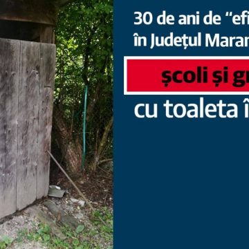 La începerea noului an școlar, 31 de unități de învățământ din Maramureș au toaletele în fundul curții La începerea noului an școlar, 31 de unități de învățământ din Maramureș au toaletele în fundul curții