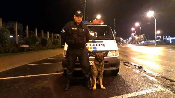 Vis este câinele polițist al zilei Vis este câinele polițist al zilei