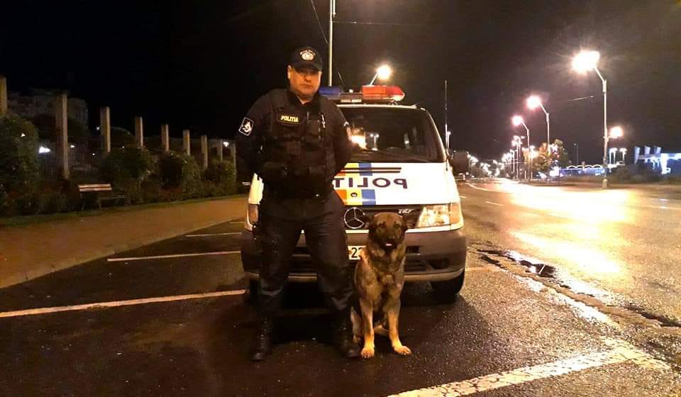 Vis este câinele polițist al zilei Vis este câinele polițist al zilei