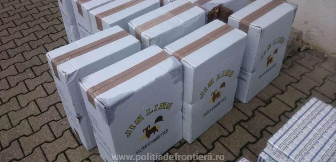 S-au găsit aproape 8.000 de pachete cu țigări de contrabandă