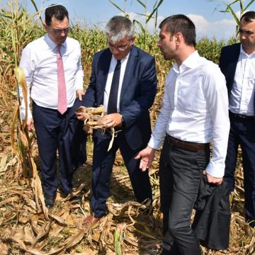 Gabriel Zetea (PSD): ”Legea Vânătorii va fi dezbătută de urgență în Parlamentul României”