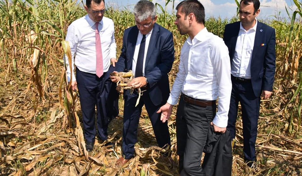Gabriel Zetea (PSD): ”Legea Vânătorii va fi dezbătută de urgență în Parlamentul României”