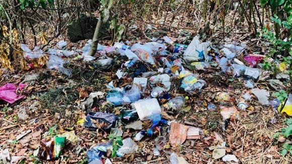 Mii de maramureşeni au răspuns prezent apelului de ecologizare lansat în cadrul acţiunii naţionale „Let`s Do It, Romania!” Mii de maramureşeni au răspuns prezent apelului de ecologizare lansat în cadrul acţiunii naţionale „Let`s Do It, Romania!”