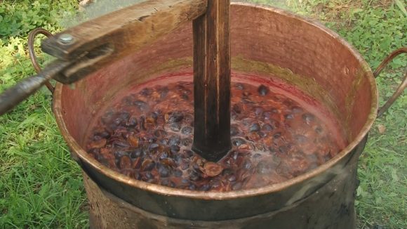 Acțiunea silvoița la Muzeul Satului