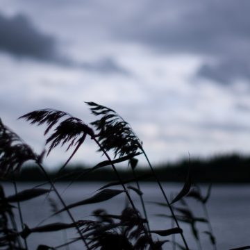 Vreme deosebit de rece joi, 19 septembrie in Maramureș