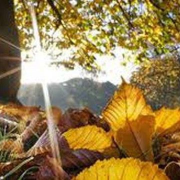 Temperaturi și cu 10 grade peste limita normală Temperaturi și cu 10 grade peste limita normală