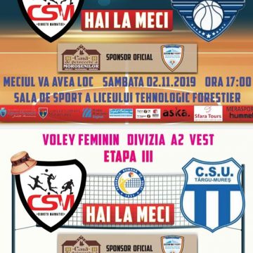 Meciuri de baschet și volei la Liceul Tehnologic Forestier în acest weekend