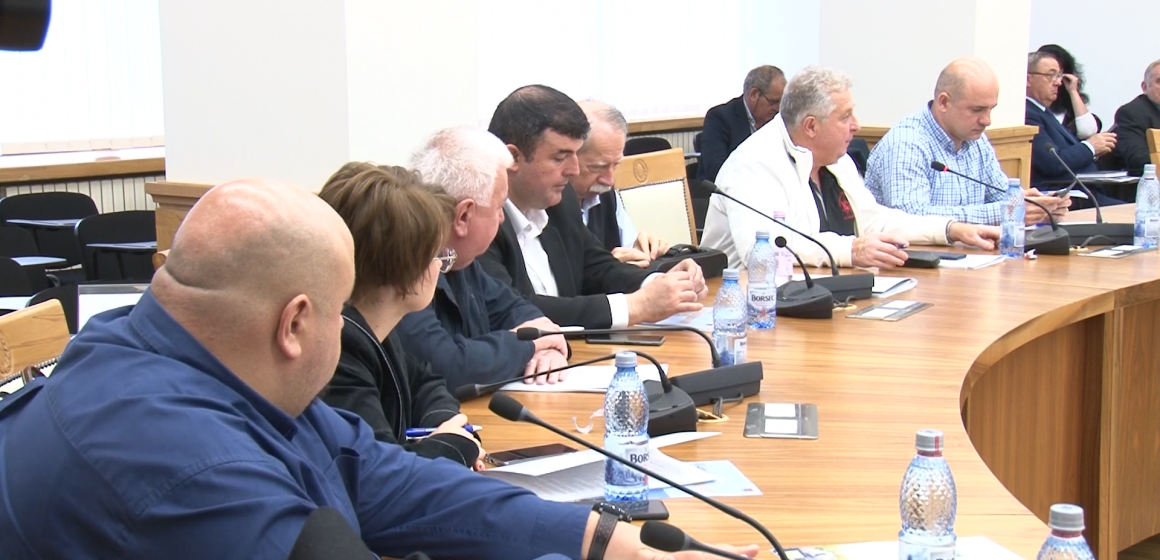 Ce proiecte au adoptat consilierii județeni în ședința extraordinară Ce proiecte au adoptat consilierii județeni în ședința extraordinară