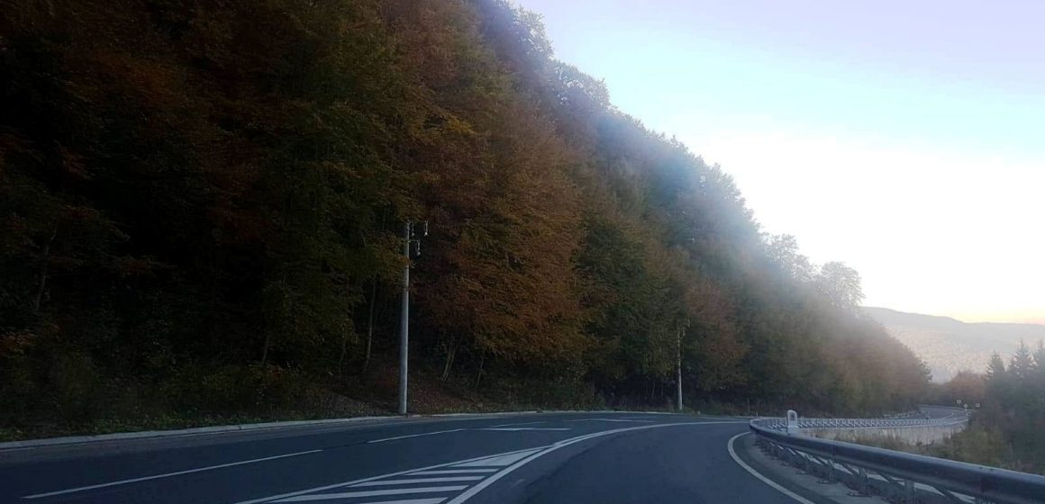 Acțiune de tăiere a arborilor marcați care pot pune în pericol desfășurarea circulației rutiere în Pasul Gutâi Acțiune de tăiere a arborilor marcați care pot pune în pericol desfășurarea circulației rutiere în Pasul Gutâi