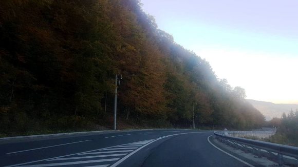 Acțiune de tăiere a arborilor marcați care pot pune în pericol desfășurarea circulației rutiere în Pasul Gutâi