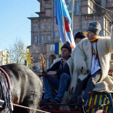 GALERIE FOTO | Ceremonii și emoții, de Ziua Națională