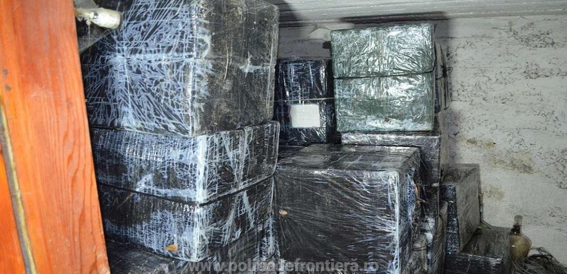 VIDEO | Peste 35.000 de pachete cu țigări de contrabandă găsite într-un beci