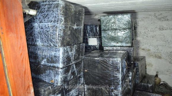 VIDEO | Peste 35.000 de pachete cu țigări de contrabandă găsite într-un beci