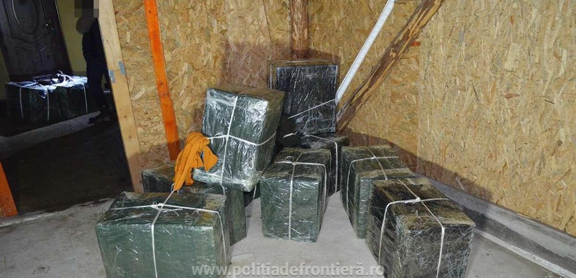 VIDEO | Peste 21.000 de pachete cu țigări de contrabandă au fost confiscate