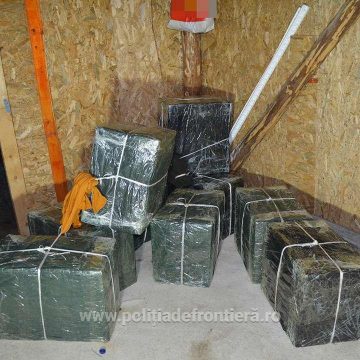 VIDEO | Peste 21.000 de pachete cu țigări de contrabandă au fost confiscate