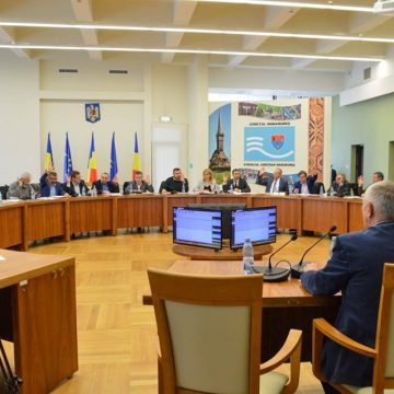 VIDEO | Demers comun al aleșilor județeni pentru rezolvarea situației financiare de extremă dificultate din Vadu Izei