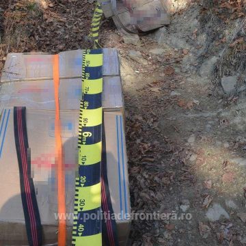 Țigări de contrabandă, în valoare de aproximtiv 81.000 lei, confiscate la    frontiera de nord
