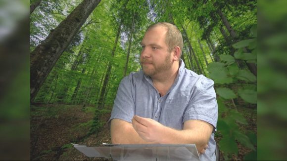 Cum valorificăm eficient lemnul tăiat legal din pădure?