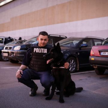 VIDEO | Prins cu țigări de contrabandă datorită unui câine polițist