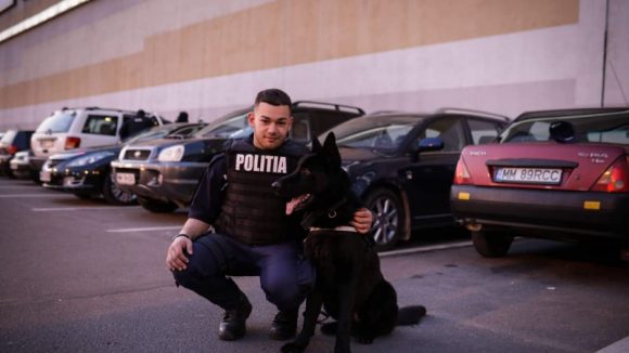 VIDEO | Prins cu țigări de contrabandă datorită unui câine polițist VIDEO | Prins cu țigări de contrabandă datorită unui câine polițist