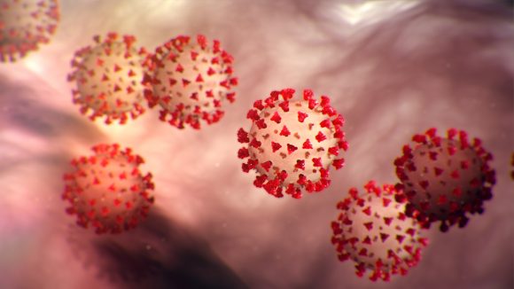 A fost înregistrat primul deces al unui pacient infectat cu noul coronavirus pe teritoriul României A fost înregistrat primul deces al unui pacient infectat cu noul coronavirus pe teritoriul României