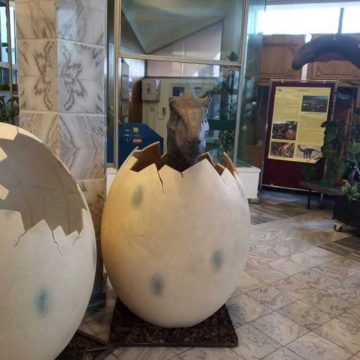VIDEO | „Ultimii dinozauri din Transilvania”- expoziție găzduită de Muzeul Județean de Mineralogie din Baia Mare