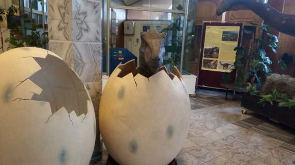 VIDEO | „Ultimii dinozauri din Transilvania”- expoziție găzduită de Muzeul Județean de Mineralogie din Baia Mare VIDEO | „Ultimii dinozauri din Transilvania”- expoziție găzduită de Muzeul Județean de Mineralogie din Baia Mare