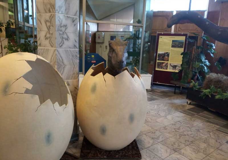 VIDEO | „Ultimii dinozauri din Transilvania”- expoziție găzduită de Muzeul Județean de Mineralogie din Baia Mare