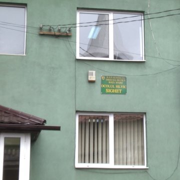 VIDEO | Cea mai mare defrișare ilegală din ultimii cinci ani a fost descoperită la Sighet