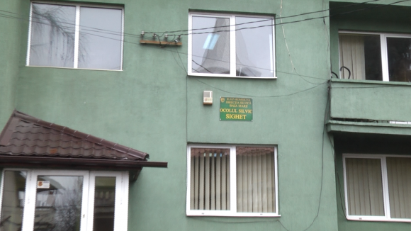 VIDEO | Cea mai mare defrișare ilegală din ultimii cinci ani a fost descoperită la Sighet VIDEO | Cea mai mare defrișare ilegală din ultimii cinci ani a fost descoperită la Sighet