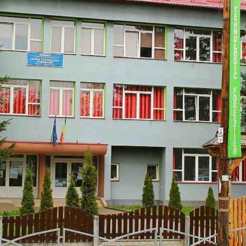 Platformă digitală în sprijinul dascălilor Platformă digitală în sprijinul dascălilor
