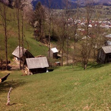 VIDEO | Școala de acasă, la Poienile de Sub Munte