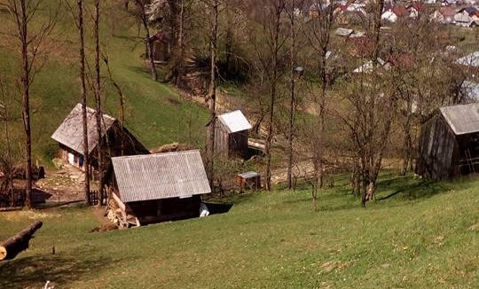 VIDEO | Școala de acasă, la Poienile de Sub Munte VIDEO | Școala de acasă, la Poienile de Sub Munte