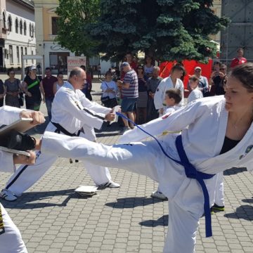 VIDEO | Competiție online la Taekwondo – ”Cupa Izolării 2020” VIDEO | Competiție online la Taekwondo – ”Cupa Izolării 2020”