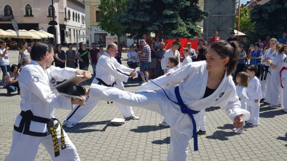 VIDEO | Competiție online la Taekwondo – ”Cupa Izolării 2020” VIDEO | Competiție online la Taekwondo – ”Cupa Izolării 2020”