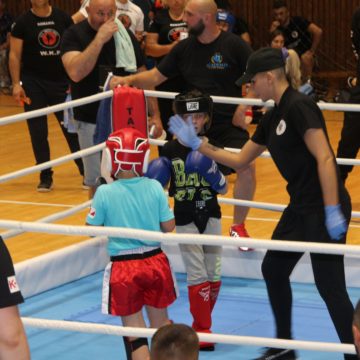 VIDEO | ACS Kickboxing: ”Antrenamentele de acasă valorează cam 50% față de pregătirea de la sală”