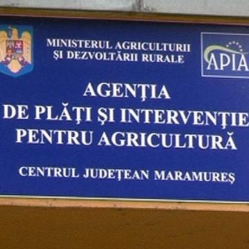Când începe depunerea cererilor de sprijin pentru „Servicii de silvomediu, servicii climatice și conservarea pădurilor”