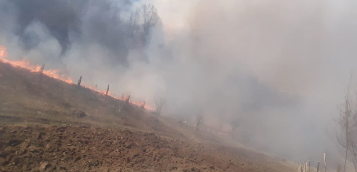 ( FOTO ) Incendiu de vegetație uscată în Ieud