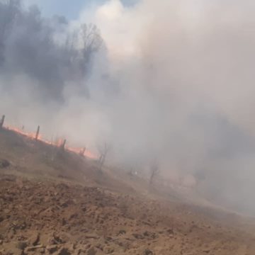 VIDEO | Incendiile de vegetație uscată nu ocolesc nici Ieudul