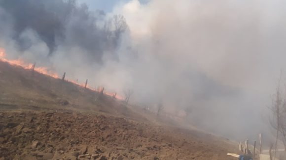 ( FOTO ) Incendiu de vegetație uscată în Ieud ( FOTO ) Incendiu de vegetație uscată în Ieud
