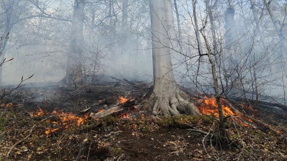 Weekend plin pentru salvamontiști – au intervenit și la un incendiu, și la un accident dintr-o zonă greu accesibilă