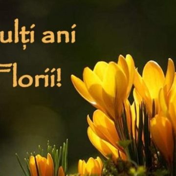 1,4 milioane de români își celebrează ziua în Duminica Floriilor 1,4 milioane de români își celebrează ziua în Duminica Floriilor