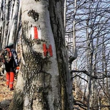 VIDEO | Salvamontiștii fac lucrări de întreținere a traseelor turistice VIDEO | Salvamontiștii fac lucrări de întreținere a traseelor turistice